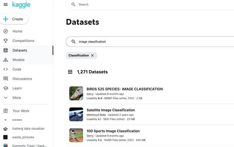 example classification datasets